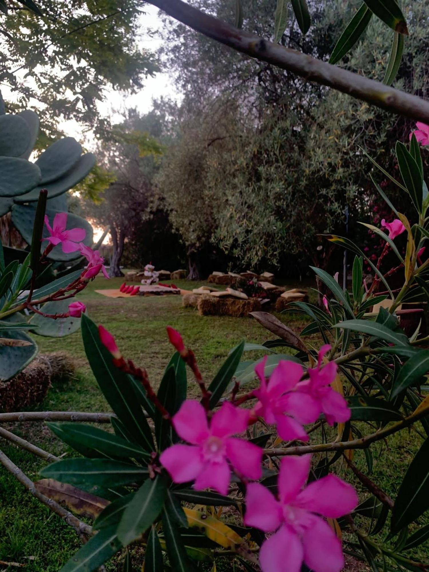 Valle Di Mare Country Resort Fontane Bianche Zewnętrze zdjęcie