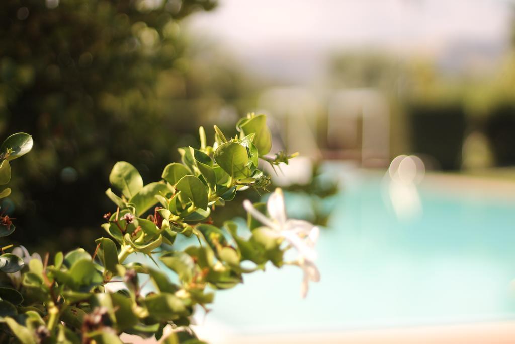 Valle Di Mare Country Resort Fontane Bianche Zewnętrze zdjęcie